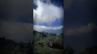 kurseong darjeeling tour tourism tourist touristplace viralvideo trending [upl. by Krishna]