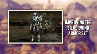 Deviant Armor Mixed Sets Silverwind Soul Set [upl. by Elleuqar679]