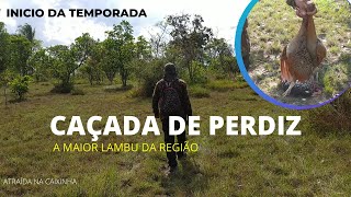 Caçada de Perdiz no Campo Rendeu [upl. by Otirecul426]