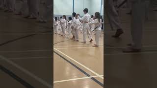 White belt graduation tang soo [upl. by Allimrac]