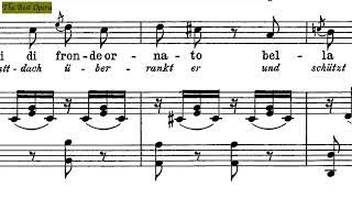 Benchè di senso Lesson 82 Nicola Vaccai score animation SopranoTenor Karaoke [upl. by Lladnik625]