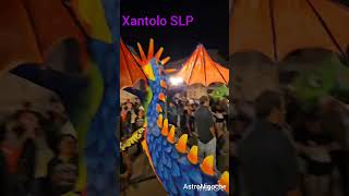 Xantolo en San Luis Potosí DiaDeMuertos xantolo2024 sanluispotosi [upl. by Diane-Marie407]