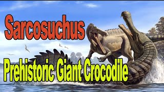 Sarcosuchus Giant Prehistoric Crocodiles  did they eat Tyrannosaurs [upl. by Torrie]