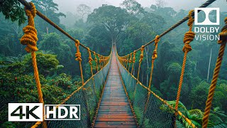 JAW DROPPING 4K 60FPS HDR  Dolby Vision 4K Video [upl. by Trovillion]