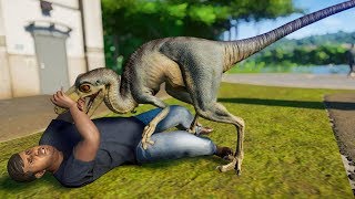 Troodon amp Blue Velociraptor Breakout Jurassic World Evolution [upl. by Rooke422]