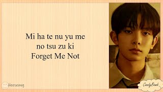 ENHYPEN FORGET ME NOT EASY LYRICS [upl. by Avelin432]