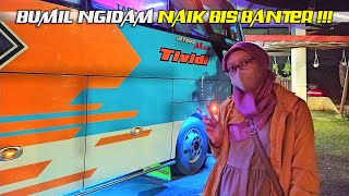 Ngidam Naik TIVIDI T012 AVENTADOR  Pasar Rebo  Jogja Wates [upl. by Lenneuq]