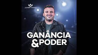 JÚNIOR VIANNA  GANÂNCIA E PODER [upl. by Lewanna927]