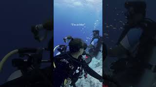 Come wit me to the Maldives in Fuvahmulah experience blue mind theory scuba mentalhealthawareness [upl. by Arrol]