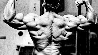 Top 10 Golden Era Bodybuilders [upl. by Ueihttam205]