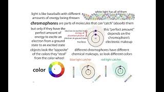 Fluorescence and FRET FörsterFluorescent Resonance Energy Transfer [upl. by Nolita]