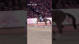 Horse walk horse рекомендации equestrian [upl. by Bernstein87]