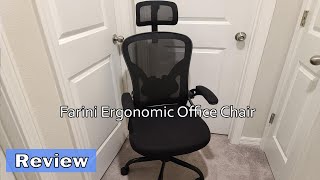 Farini Ergonomic Office Chair Review [upl. by Jason792]