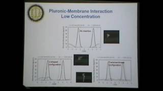 Modeling interactions of pluronics with lipid bilayers  Roland Faller [upl. by Diannne933]