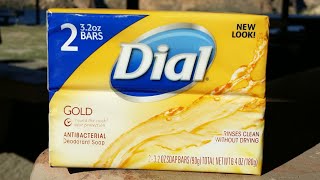 Dial Gold antibacterial soap Review [upl. by Ellehsor]