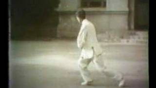 Li Bingci  Wu Style Taiji 2of2 [upl. by Standish]