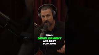 Boost Your Testosterone Naturally with Tongat Ali Supplements by Joe Rogan and Andrew Huberman [upl. by Kotta]