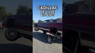 CADILLAC🔥 lowrider classic carmodification oldschool automobile oldies westcoast impala [upl. by Zampardi]