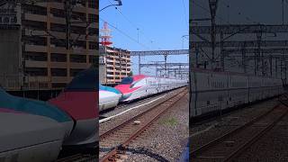 E6 series KOMACHI highspeed passing at Oyama Station May 3 2024 [upl. by Earazed661]