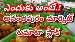 2024 Anantapur tomato market ratestoday tomato market ratestoday Anantapur tomato rate [upl. by Lipcombe245]