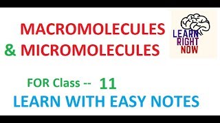 MACROBIOMOLECULES and MICROMOLECULES [upl. by Ritchie]