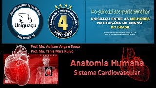 Anatomia do Sistema Cardiovascular Parte 2 [upl. by Alejandro]