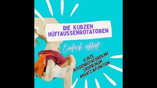 Die kurzen Hüftaußenrotatoren im Detail für meine HMs  Anatomie des Menschen einfach erklärt [upl. by Pascale674]