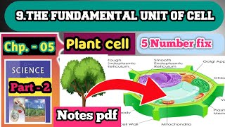 Plant Cell  Plant Cell Structure  Cell [upl. by Calley]