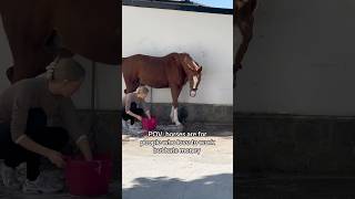 💩🙊💧 equestrian horse horses pony pferde cheval hest trending funny [upl. by London116]