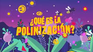 ¿Qué es la polinización  Conoce más sobre las flores los polinizadores y su importancia en 5 min [upl. by Lauer398]