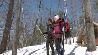 Crosscountry skiing in Gatineau Park [upl. by Adnahsed]