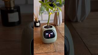 He got a bit excited at the end 😳 planter plants cuteplanter plantlover [upl. by Norrv286]