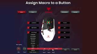 How to Set Up amp Customize Your EvoFox Phantom 2 Gaming Mouse  Complete Guide [upl. by Edmanda312]