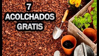 7 Formas De ACOLCHAR De Forma NATURAL Y GRATIS El Huerto  La Huertina De Toni [upl. by Trainor]