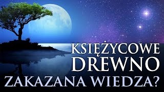 KSIĘŻYCOWE DREWNO  UKRYTA WIEDZA O DRZEWACH I DREWNIE NA NOWO ODKRYTA BaldTV [upl. by Oicneserc]