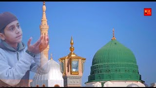 Humne Aankhon Se Dekha Nahin  Official Video 2024  Latest New Hajj Naat 2024  Hassan Ali Official [upl. by Costello772]