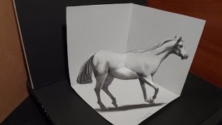 Drawing White Horse  3D Artistic Graphic  Awesome Trick Art [upl. by Hiro601]