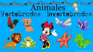 Animales vertebrados e invertebrados para niños [upl. by Bensen436]