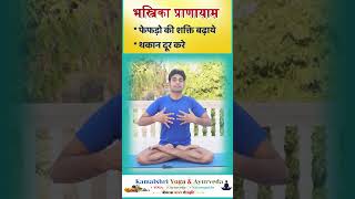 Bhastrika pranayama lungs health short2024 😀 Breathing exercise [upl. by Llerdnad]