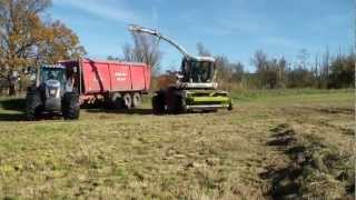 Claas Jaguar 890 beim Gras häckseln 2012 [upl. by Asaert]