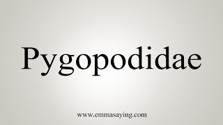 How To Say Pygopodidae [upl. by Eberle339]