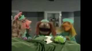 The Muppets Veterinarians Hospital Kermit [upl. by Enenstein]