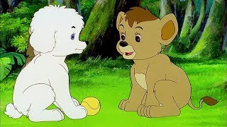 SIMBA EL REY LEÓN  Simba The Lion King  Episodio 5 Completo  Español  KIDFLIX [upl. by Aseeram]