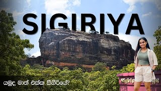 Sigiriya Travel Diary⛰️ සීගිරිය නගින්න හොදම වෙලාව 🤔 Sigiriya Village Hotel  4 star  සිංහල vlog [upl. by Roumell88]