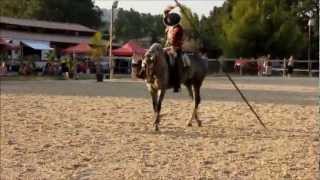 Spectacle Equestre quot Andalousiequot  Genio XXVII en Solo Garrocha Artistique [upl. by Janie]