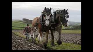 THE FURROWS END GARY ANDERSON [upl. by Eelano972]