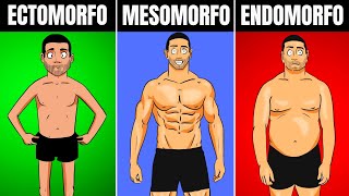 AS VANTAGENS e DESVANTAGENS de CADA BIOTIPO Ectomorfo Endomorfo e Mesomorfo  CORPO HIPERTROFIADO [upl. by Itch646]