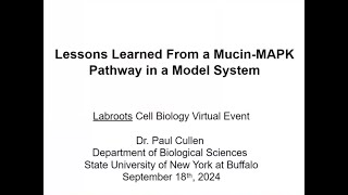 Lessons Learned by Studying a MucinDependent MAPK Pathway in a Model Fungal System [upl. by Aneloj]