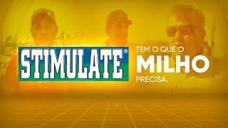 Descubra porque STIMULATE tem o que sua lavoura de MILHO precisa [upl. by Aylmar]