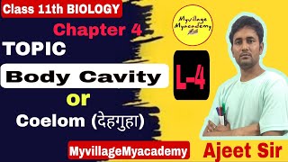 देहगुहा Body Cavity Or Coelom। By Ajeet Sir animalkingdomclass11 myvillagemyacademy [upl. by Dorweiler]